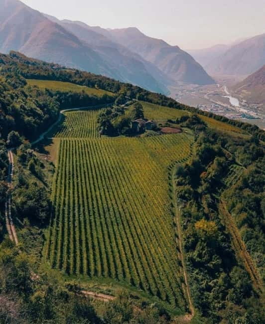 Wine tour at Borgo dei Posseri: wine, nature, and authenticity - Key points / Takeaways