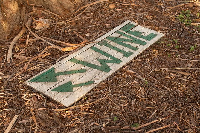 Wine Tour Bolgheri Half Day Shore Excursion from Livorno Port - Exploring Tuscany’s Hidden Gem: Bolgheri from Livorno