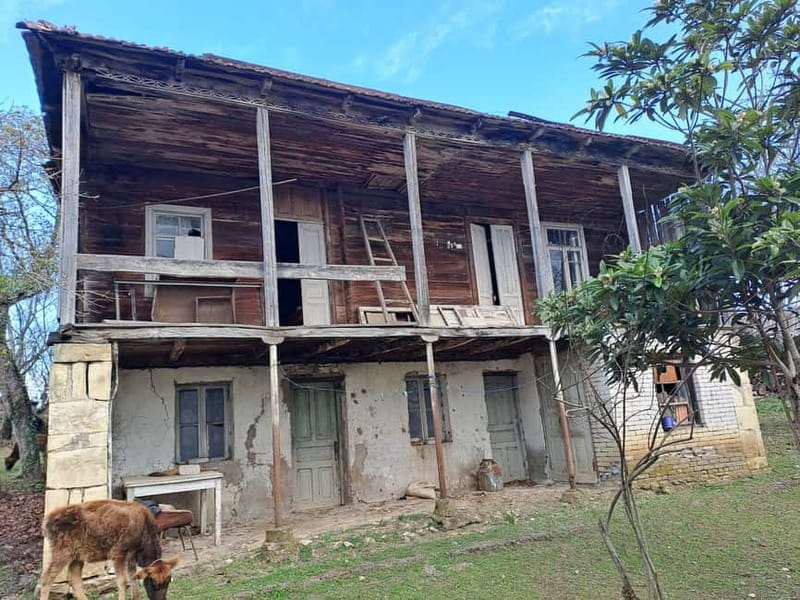 Wine Tour by Winemaker - Key points / Takeaways