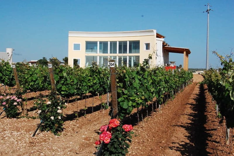 Wine Tour "Discovery Jarche" - A Closer Look at the “Discovery Jarche” Wine Tour