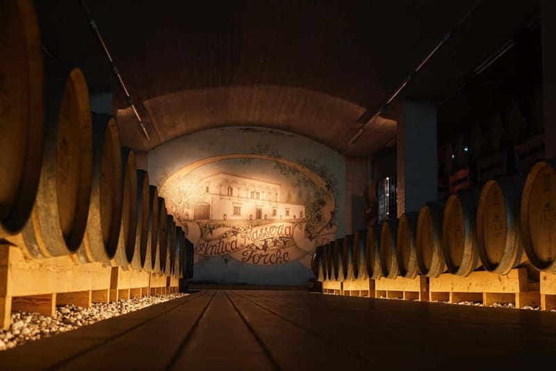 Wine Tour "Discovery Jarche" - Key points / Takeaways