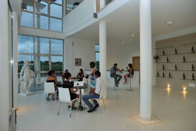 Wine Tour "Discovery Jarche" - What to Expect During the Tour