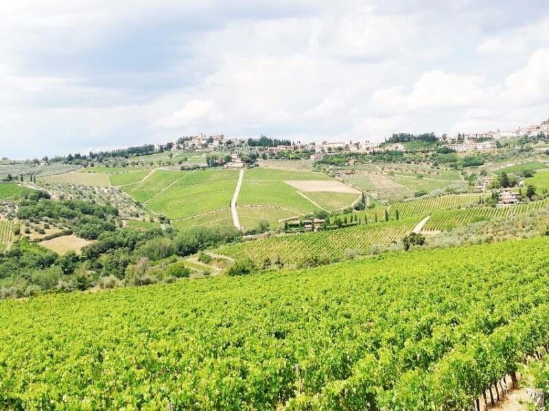 Wine Tour in Open Top Van - Introduction: A Wine Adventure Off the Beaten Path