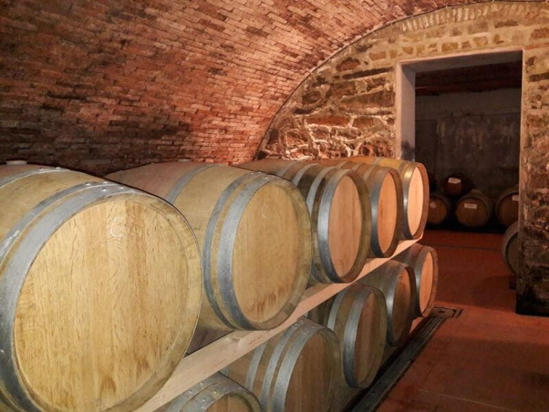 Wine Tour in Open Top Van - Wrap-up and Return: A Laid-Back Journey Back to Florence