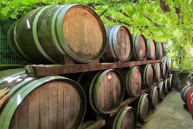 Wine Tour in Roussillon: Picnic & Tasting Day - Final Thoughts