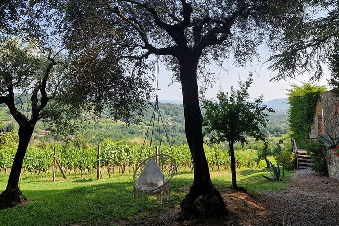 Wine Tour in the Countryside of Lucca with Lunch - with Minivan - Key points / Takeaways