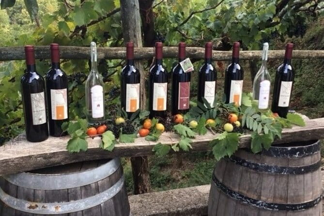 Wine Tour (lunch included) - FAQ