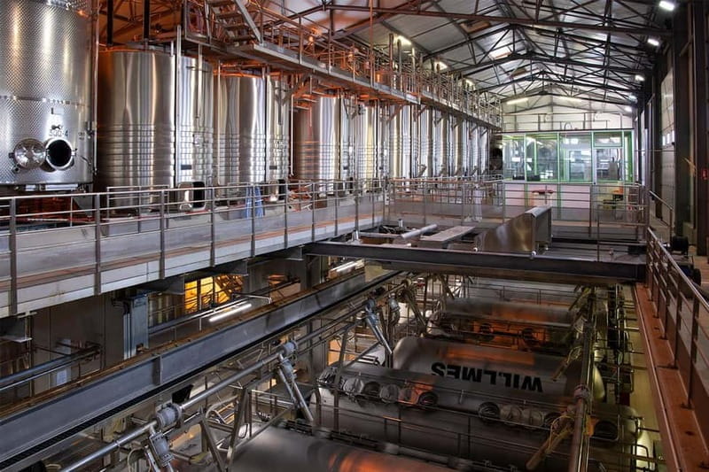 Wine tour of the Alsace wine route - Discovering the Charm of the Alsace Wine Route