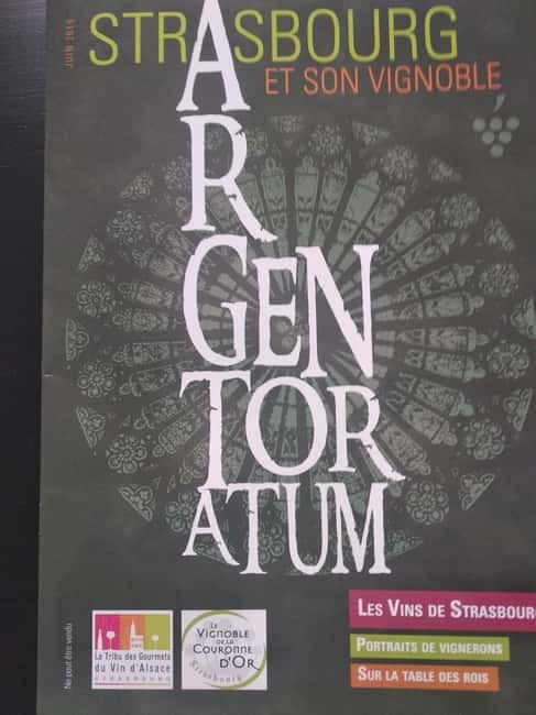 Wine tour of the Alsace wine route - Deep Dive into the Highlights