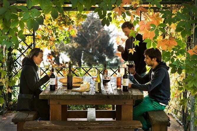 Wine Tour of two Chianti wine estates on the hills of Florence - Who Should Consider This Tour?