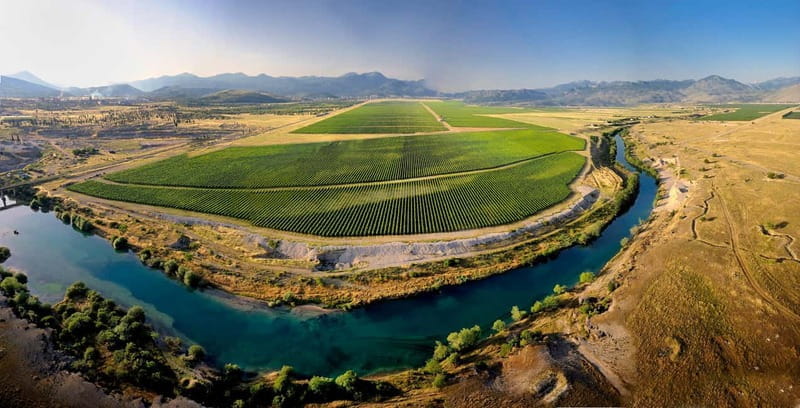 WINE TOUR: Recommended for hedonists! - Quick Intro: A Must for Hedonists and Food Lovers