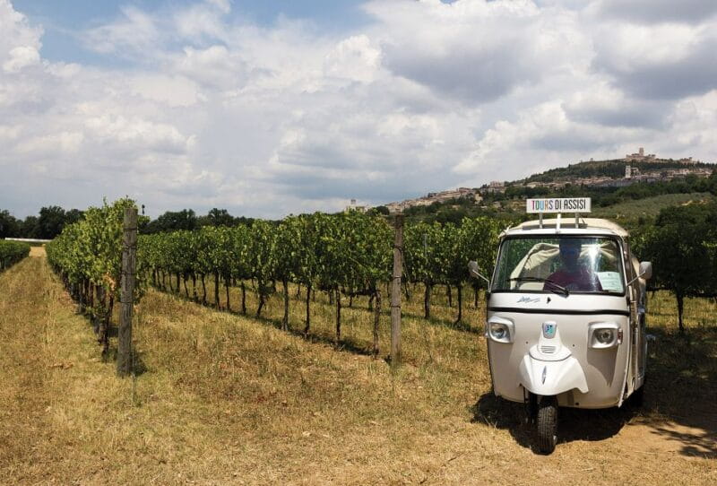 Wine Tour Spello in Tuk Tuk English +Spanish - Practical Details: Logistics, Price, and Value
