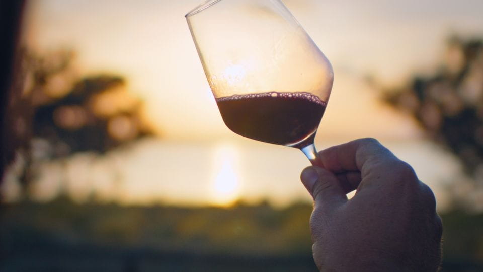 Wine Tour Through the Vineyards With Tasting by Salt Lake - Overview of the Wine Tour