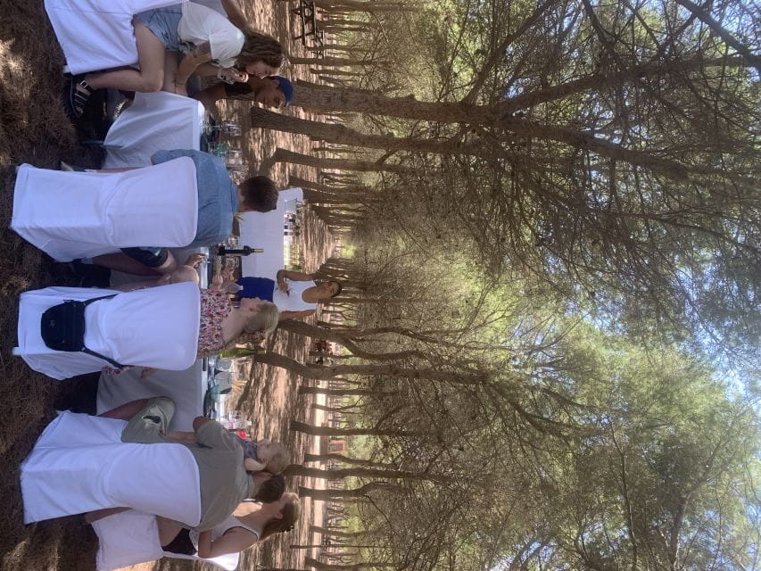 Wine Tour Through the Vineyards With Tasting by Salt Lake - Guided Tour Experience