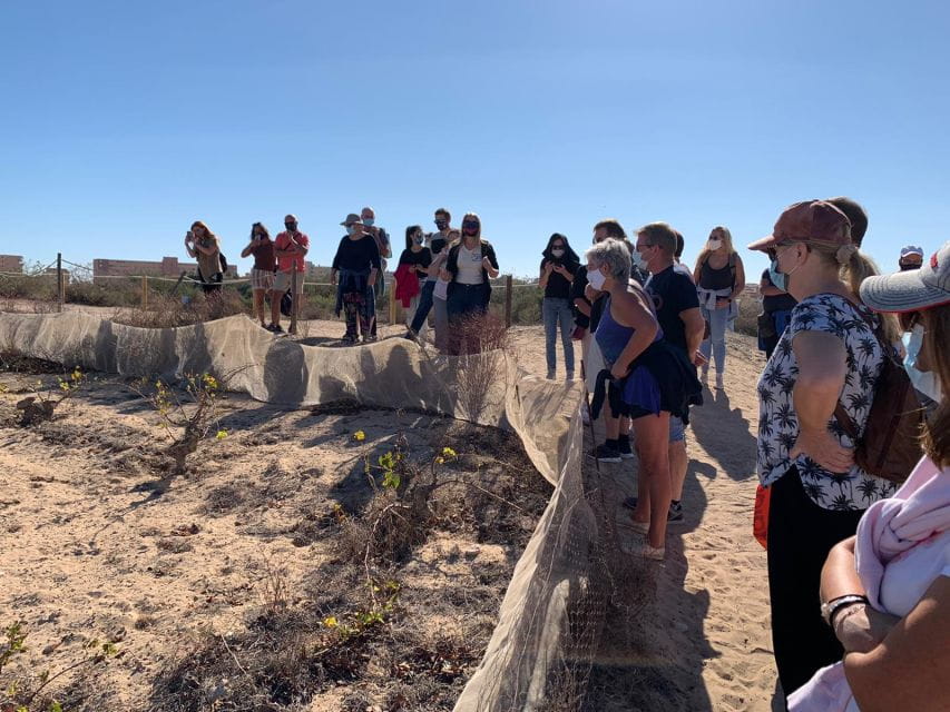 Wine Tour Through the Vineyards With Tasting by Salt Lake - Cultural Insights and History