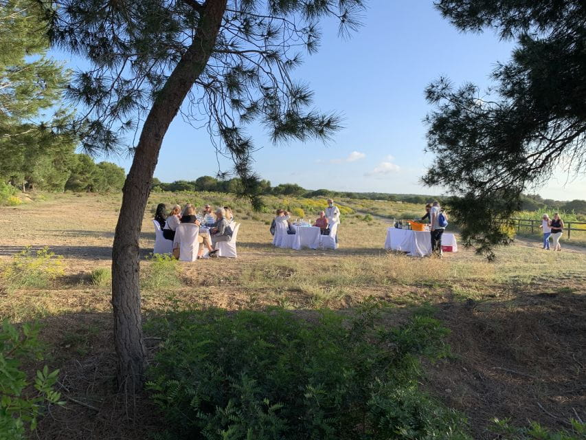 Wine Tour Through the Vineyards With Tasting by Salt Lake - Things To Know