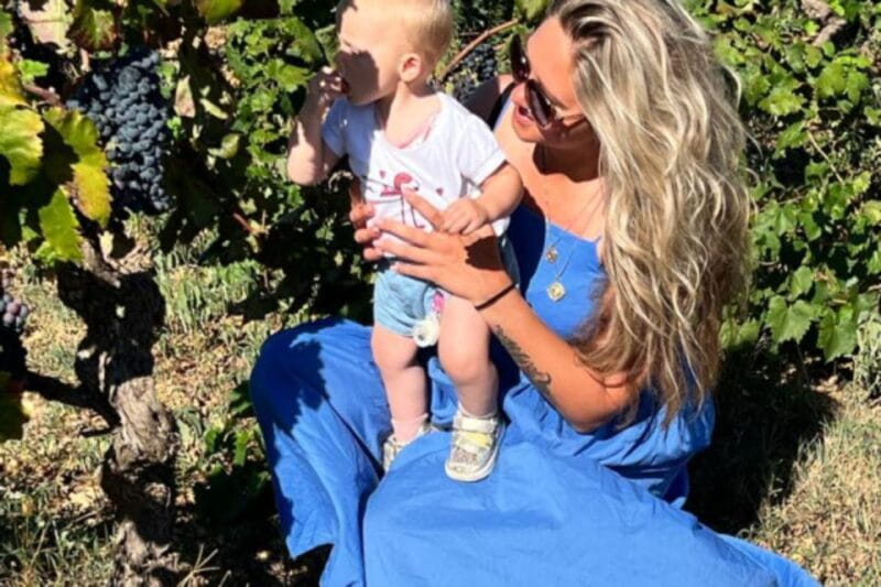 WINE TOUR WITH TASTING AND TRANSFER - Key Points / Takeaways