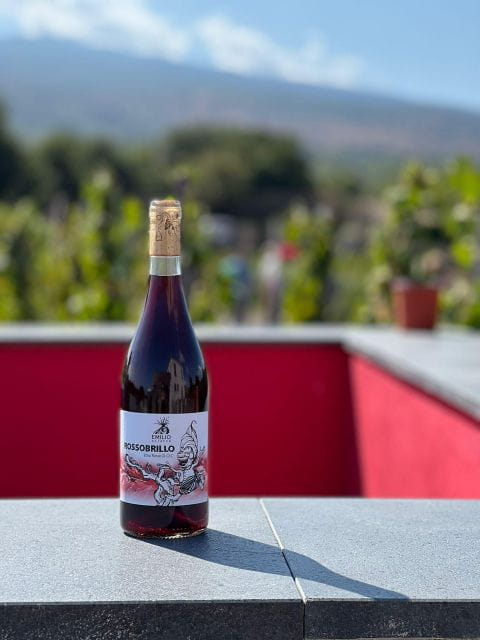 Wine tour with wine tasting - Exploring Sicily’s Unique Wine Experience: A Look at the Etna Vineyard Tour