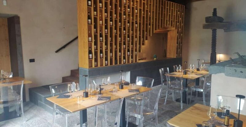 Wine tour with wine tasting - Price, Logistics, and Practical Tips