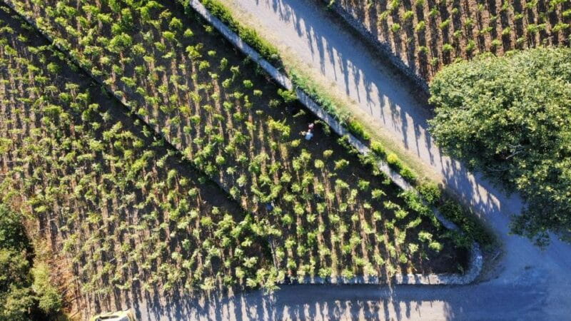 Wine tour with wine tasting - FAQ