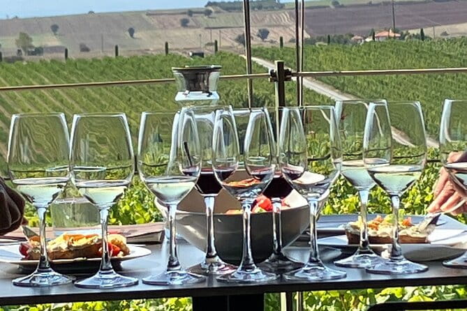 Wine Touring a Step Away from the city - Exploring the Vineyards Near Thessaloniki