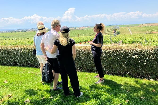 Wine Touring a Step Away from the city - Who Is This Tour Best Suited For?