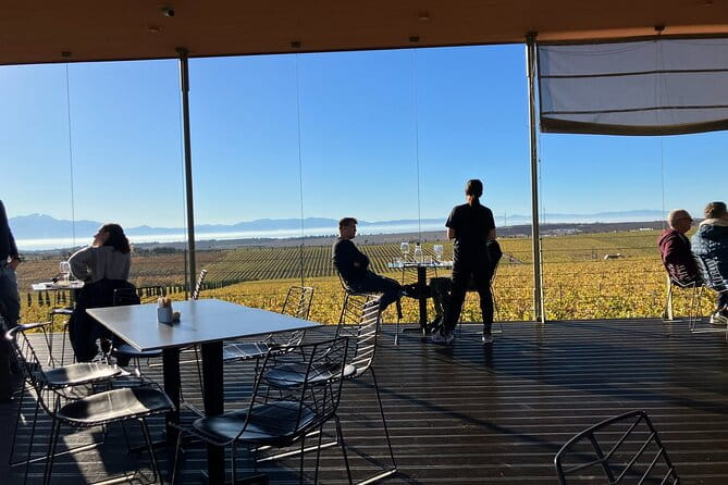 Wine Touring a Step Away from the city - Price and Value