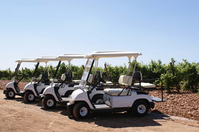 Wine tourism: Wine tasting - Key Points / Takeaways