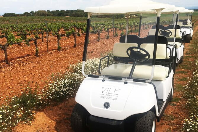 Wine tourism: Wine tasting - Possible Drawbacks to Consider