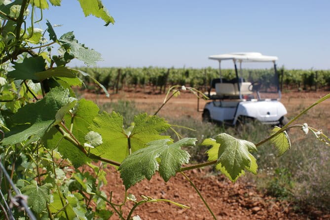 Wine tourism: Wine tasting - Frequently Asked Questions