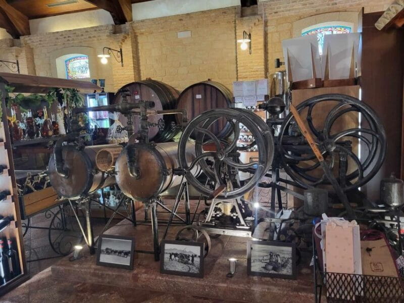 Wine trip in the Alicante region served 4 courses lunch! - Who Is This Tour Best For?