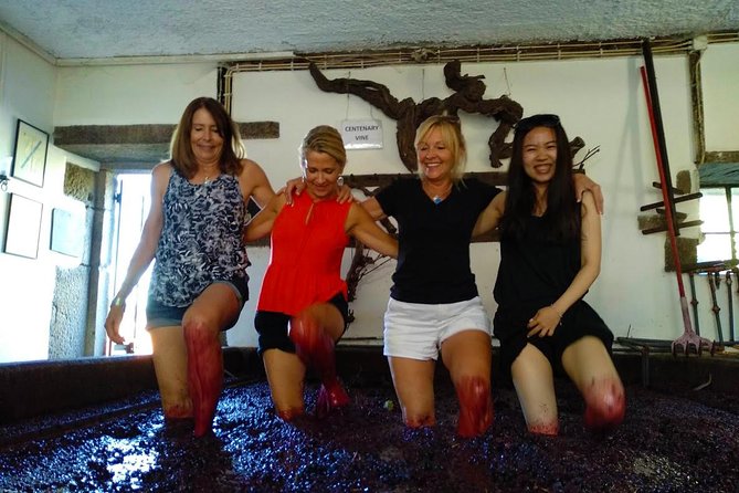 Wine Venture and Boat Trip in Douro Valley From Porto - Booking Confirmation and Accessibility