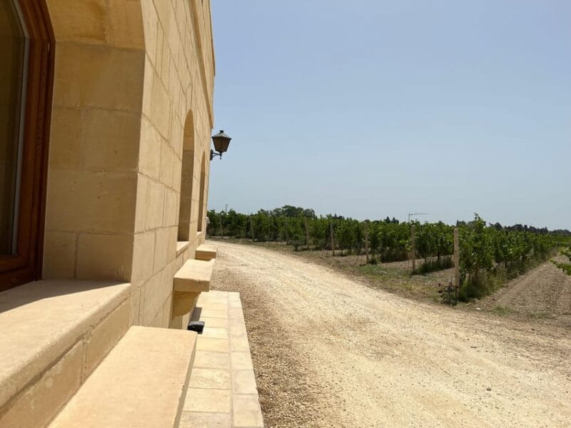 Wine with Maltese Grapes TOUR IN PORTUGUESE - Who It’s Best For