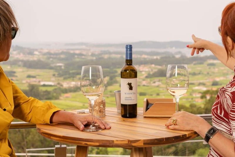 Winery in Rías Baixas with the best views of the Salnés Valley. - Authentic Wine Tasting with Breathtaking Vistas in Rías Baixas