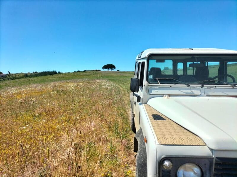 Winery, Tastings & 4WD Vineyards: Half-Day Trip from Lisbon - Entering Portugal’s Vineyard World: The Itinerary Breakdown