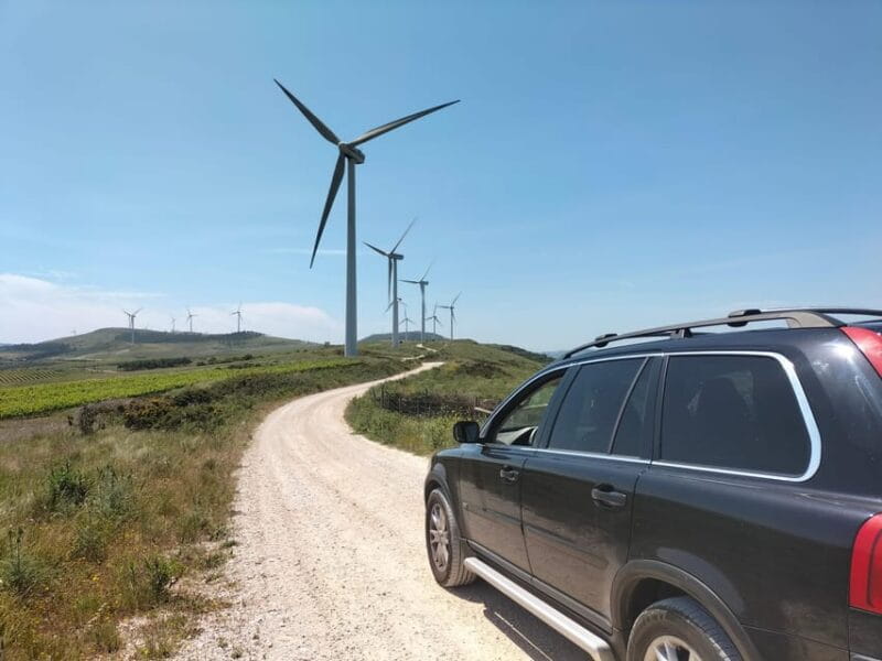 Winery, Tastings & 4WD Vineyards: Half-Day Trip from Lisbon - Who Will Love This Tour?