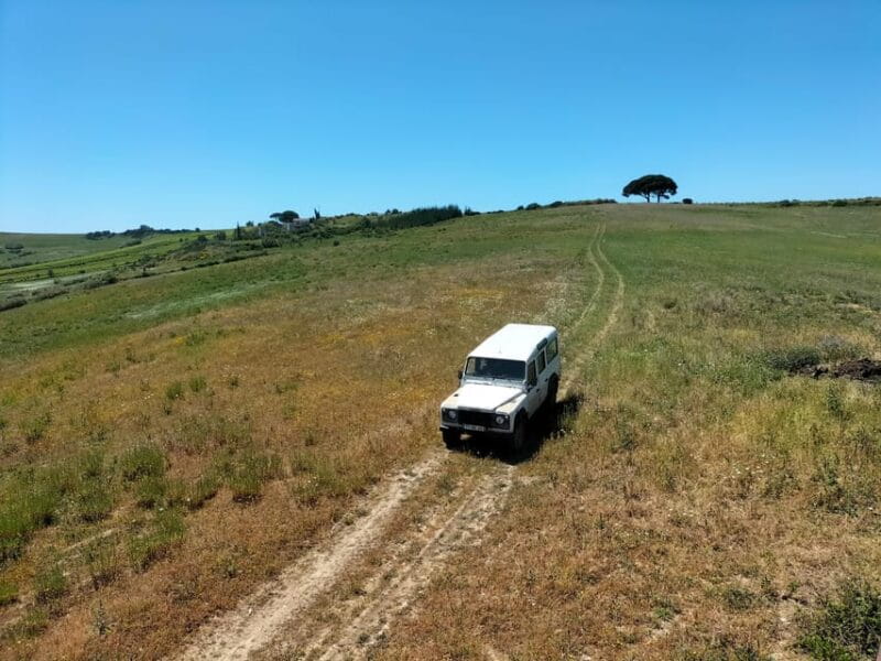 Winery, Tastings & 4WD Vineyards: Half-Day Trip from Lisbon - Price and Value Considerations