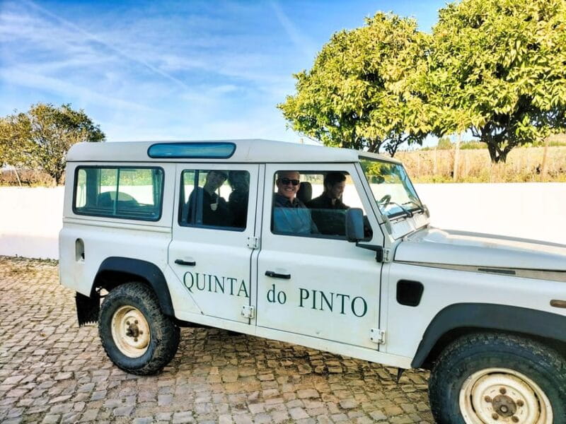 Winery, Tastings & 4WD Vineyards: Half-Day Trip from Lisbon - Frequently Asked Questions