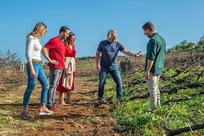 Winery Tour and Tasting in Tenerife with the Sommelier - Exploring the Heart of Tenerife’s Wine Country