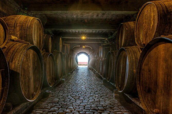 Winery Tour and Tasting in Tenerife with the Sommelier - Who Would Enjoy This Tour?