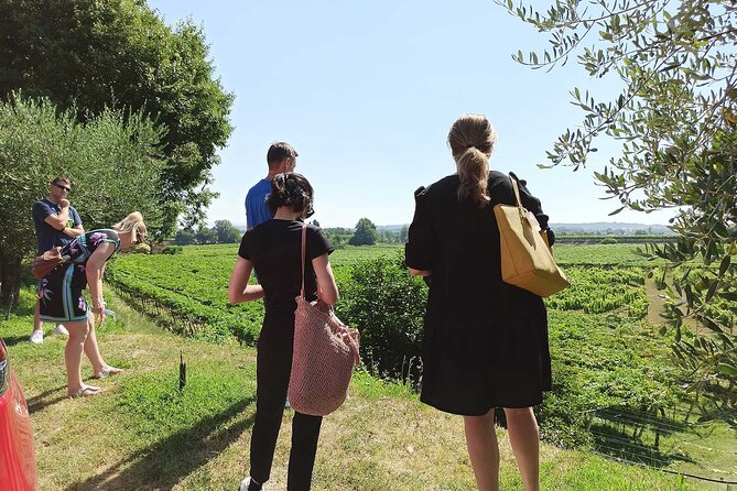 Winery Tour and Tasting of Garda Wines in Lazise - Tasting the Signature Garda Wines