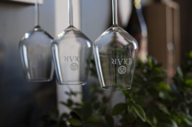 Winery tour and tasting of Sicilian organic wines in Marsala - A Close-Up Look at a Family-Run Sicilian Winery in Marsala