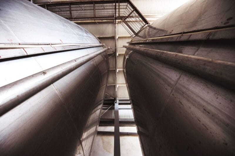 Winery tour and tasting of Sicilian organic wines in Marsala - Key points / Takeaways