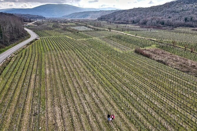 Winery Tour and Tasting with the Sommelier in KRK - The Setting – A Town-Based but Authentic Experience