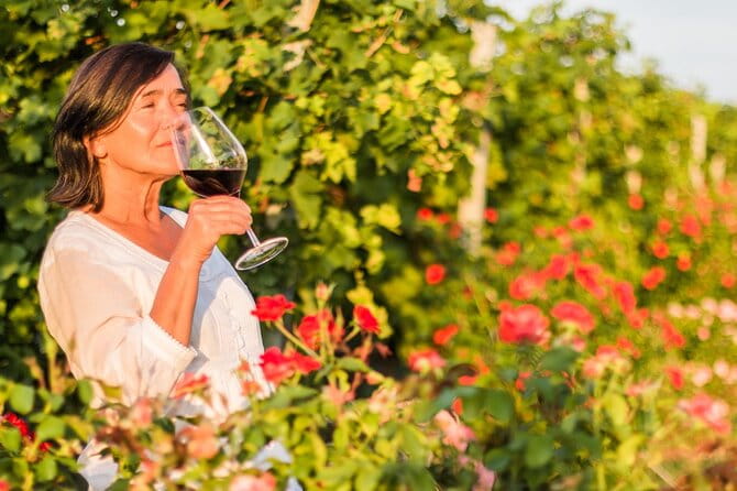 Winery Tour and Wine Tasting in Montepulciano d'Abruzzo - The Sum Up