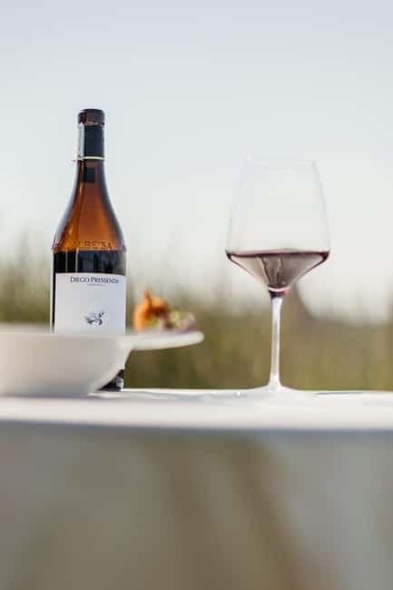 Winery tour and wine tasting with lunch or dinner - Exploring Piedmont’s Wine and Culinary Heritage