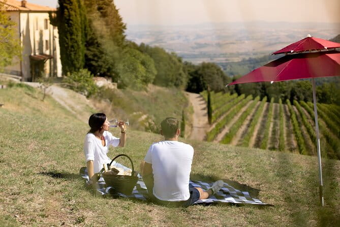 Winery Tour & picnic in the vineyard with a bottle of wine - The Vineyard and Scenic Views