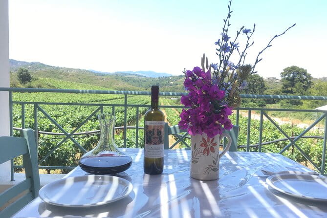 Winery Tour, Tasting and cooking with the Winemaker in Rhodes - Key points / Takeaways