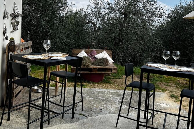 Winery Tour & Tasting in Pisa Countryside - Exploring the Heart of Tuscany in Pisa’s Countryside