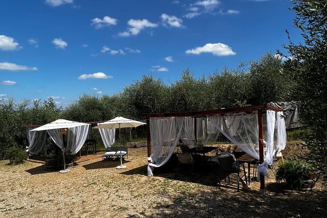 Winery Tour & Tasting in Pisa Countryside - Final Thoughts: Who Should Consider This Tour